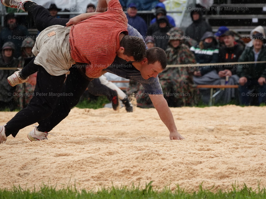 DSC07560 | Schwingen - Realisiert mit Pictrs.com