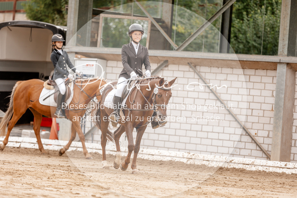 3I6A8342 | Stimmungsvolle Portraits und Reitsportfotografie im Ruhrgebiet und im Münsterland.

Pferdefotografie, Hundefotografie, Tierfotografie, Reportagen, Portraits von Tier und Mensch, Turnierfotografie in Bochum, Recklinghausen, Marl, Haltern am See, Dülmen.. - Realisiert mit Pictrs.com