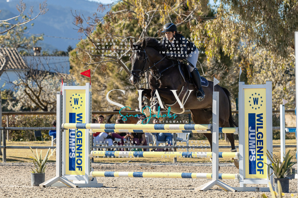 IMG_1755 | s-jay-photography - Realisiert mit Pictrs.com