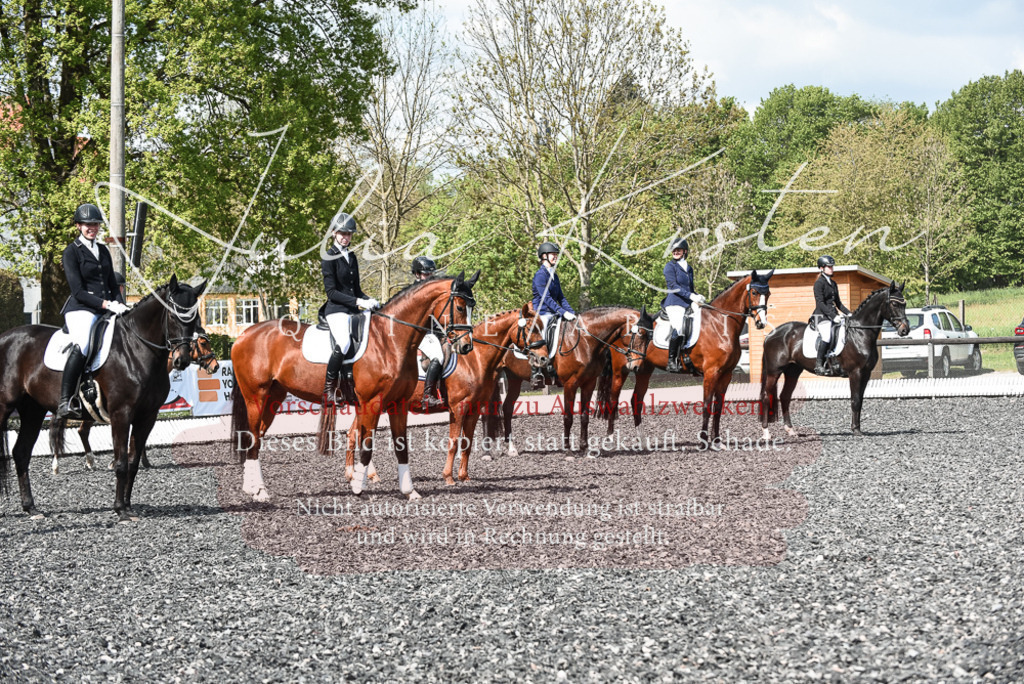 DSC_9067 | Pferde- und Turnierfotografie in Westsachsen. Pferdeportraits, Auftragszeichnungen und intuitive Kunst.