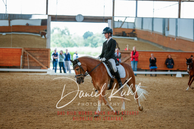 _62_6381 | Turniersportfotografie; Pferdefotografie; Dressurfotografie