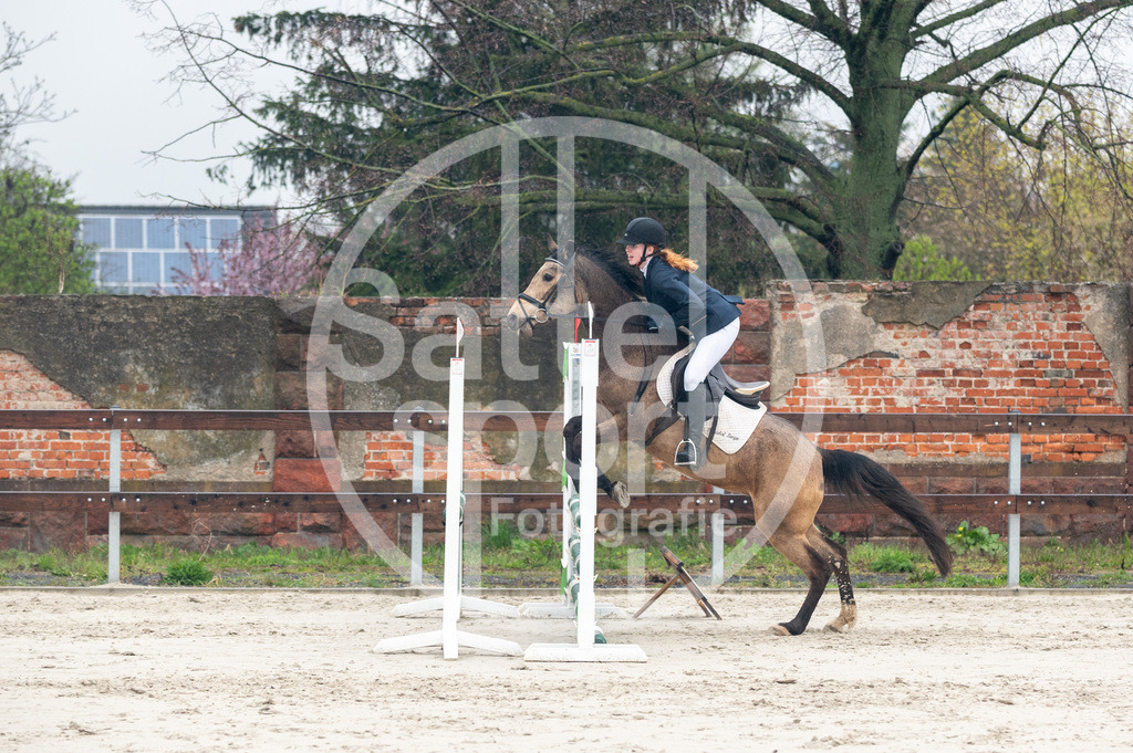 DSC_8808 | sattelsport - Realisiert mit Pictrs.com