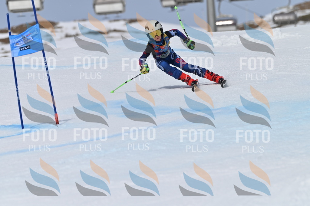 BGV_5500 | holidayphoto