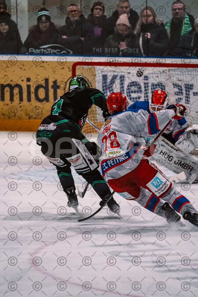 Alligators_vs_Peiting_04_01_2026-041 | Höchstadt Alligators Fotogalerie: Eishockey-Action aus Franken. Professionelle Spielfotos, Portraits & Stadionbilder zum Download. Jetzt entdecken! - Realisiert mit Pictrs.com