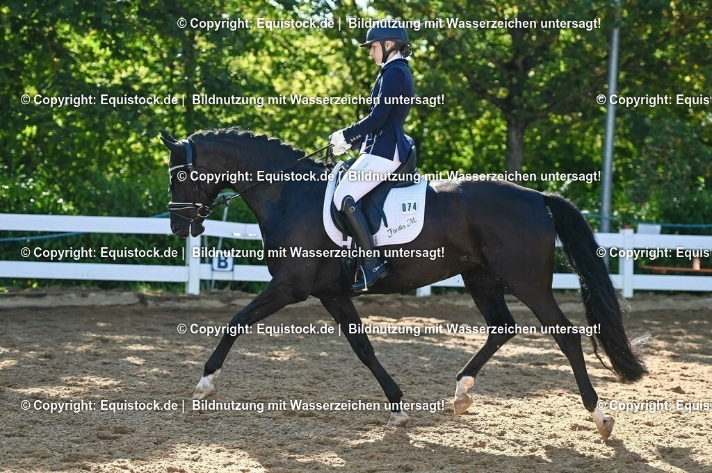 20230715_06_Dressurpferdeprfg. Kl.A_0251 | equistock