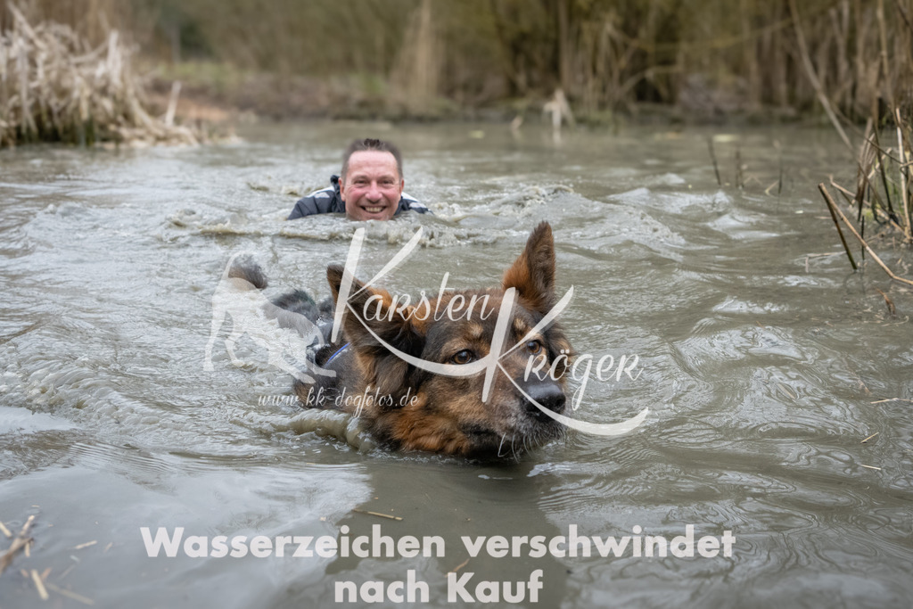 1113_ZZ97636 | kk-dogfotos