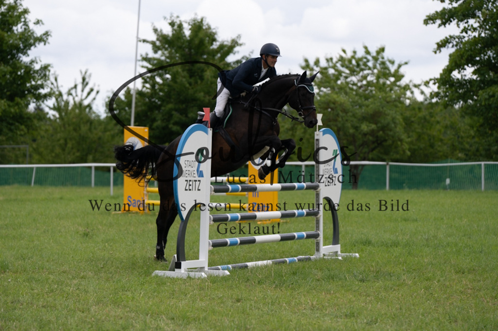 A7V04171 | Pferdefotograf