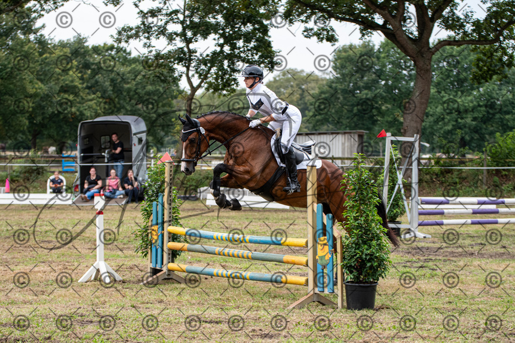 SHT_7634 | andre_photographic