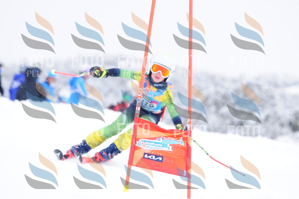 C3997 | holidayphoto