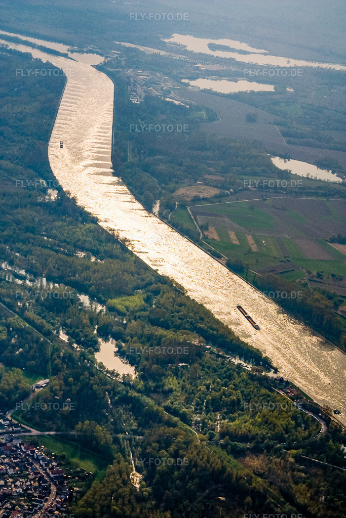 Luftbild: Mündung des Auer Altrheins in den Rhein in Au am Rhein im Bundesland Baden-Württemberg in Deutschland. Foto: IMG_17779.jpg vom 12.04.2009 durch Werner Riehm/FLY-FOTO.de