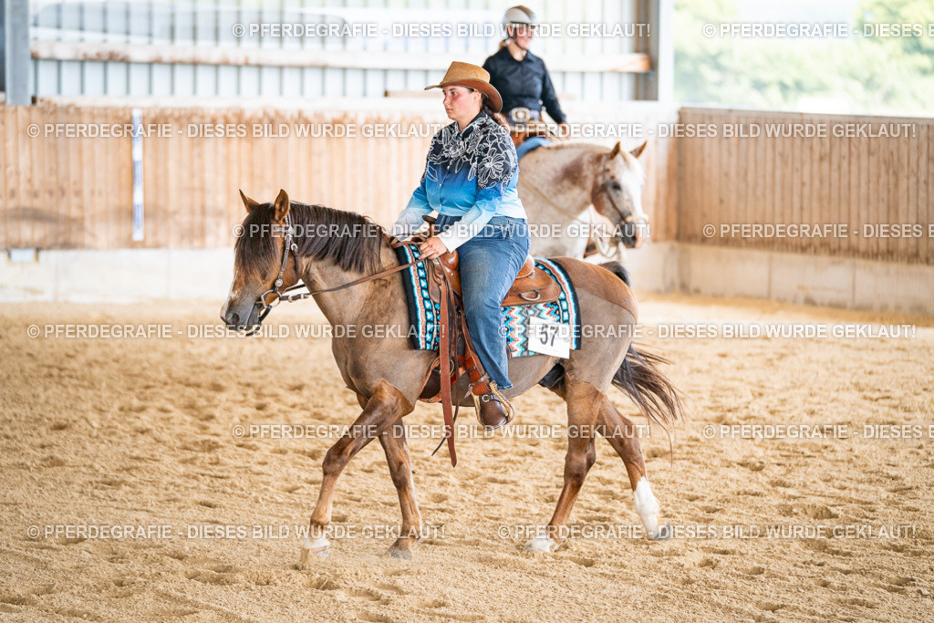 DSC01694 | Pferdegrafie