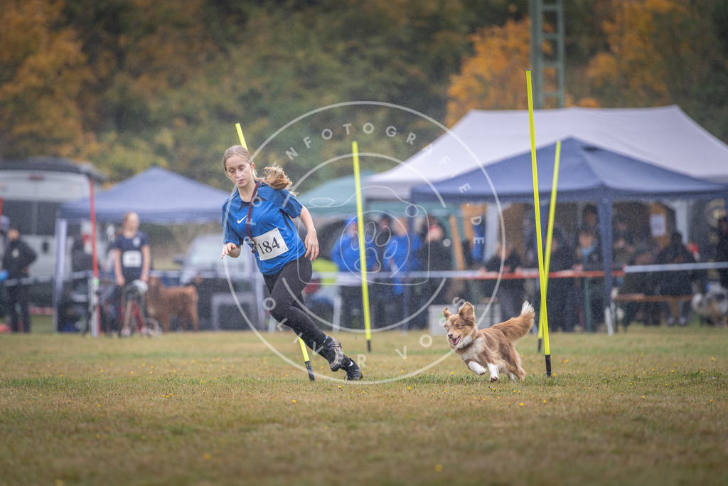 Pfotenfotografie_DV3A0039 | Hundefotografie, Tierfotograf, Pfotenfotografie, Fotoshooting Hund, Hunde Portrait, Hundesport, Hundeportraits, Heideshooting, Hunde, Sportfotograf, Hundefotograf, Turnierhundsport, THS,  - Realisiert mit Pictrs.com