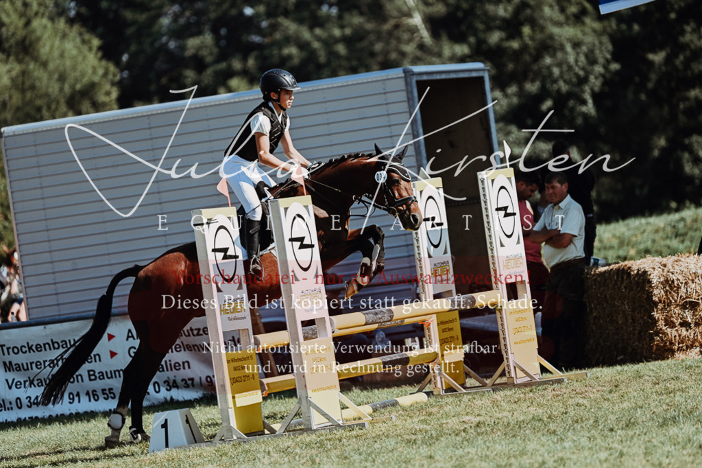 DSC_6803 | Pferde- und Turnierfotografie in Westsachsen. Pferdeportraits, Auftragszeichnungen und intuitive Kunst.