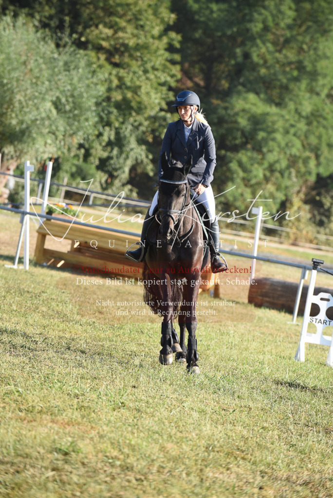 DSC_4955 | Pferde- und Turnierfotografie in Westsachsen. Pferdeportraits, Auftragszeichnungen und intuitive Kunst.