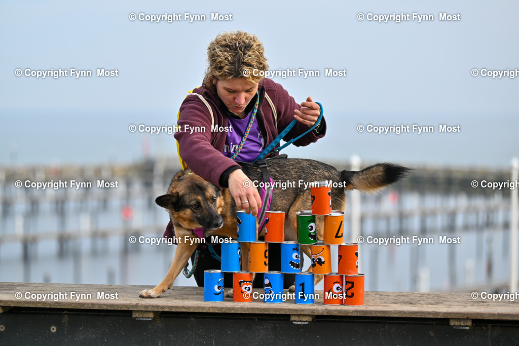 DSC_5014 | Hallo und herzlich Willkommen auf meiner Shop-Seite Fynn Most.

Ich wünsche Dir viel Spaß beim stöbern durch die Bilder, wenn Du Fragen hast oder Bilder vermisst, kannst du mir gerne eine Nachricht schreiben. - Realisiert mit Pictrs.com