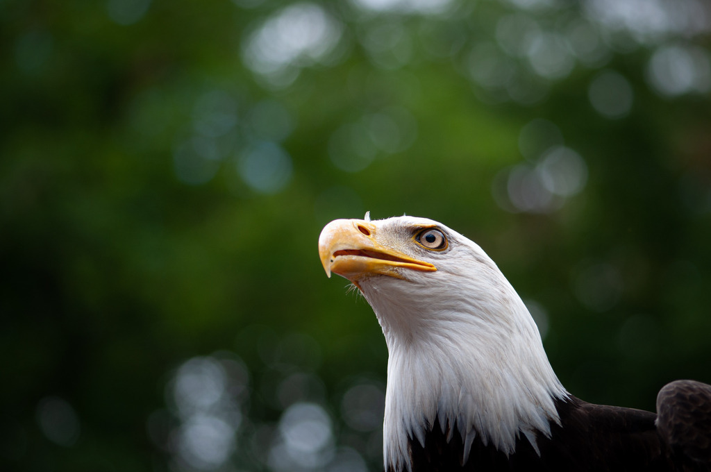 DSC_8082 | kaefersammler_roy - Realisiert mit Pictrs.com