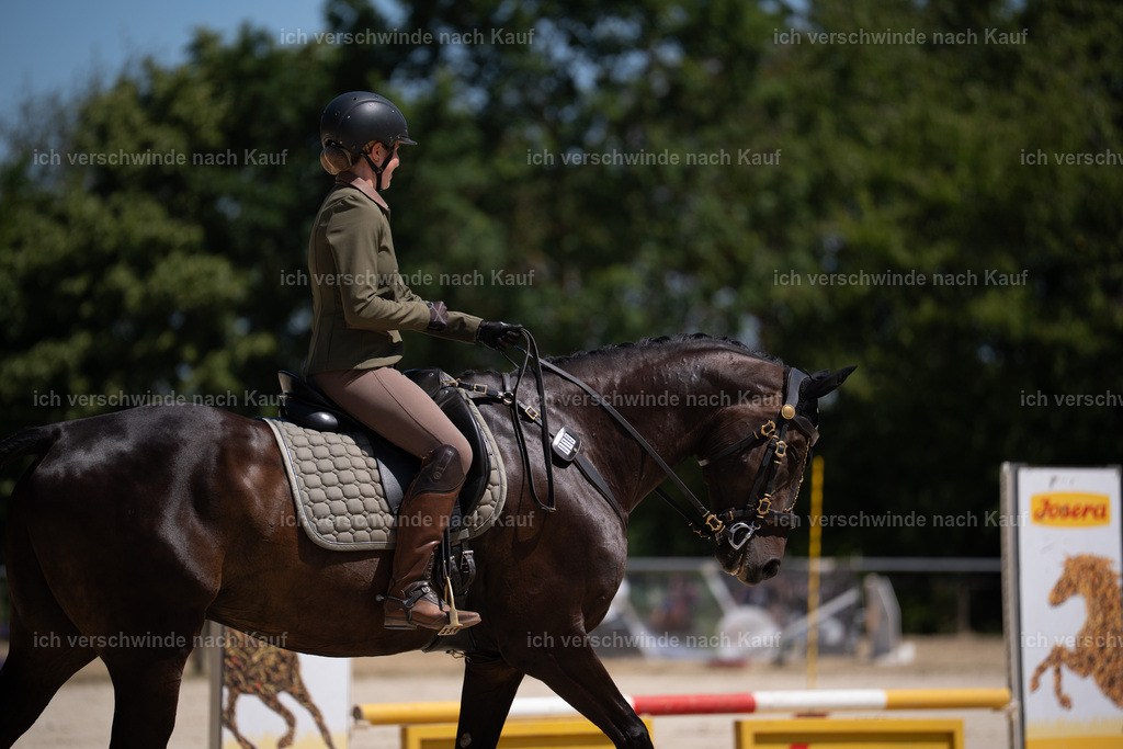 WS_ST_19_stoibphotography_SO10955 | working equitationturnier fotograf videograf stoibphotography marixx film working equitation deutschland reitsport turnierfotografie eventfotografie equestrian events