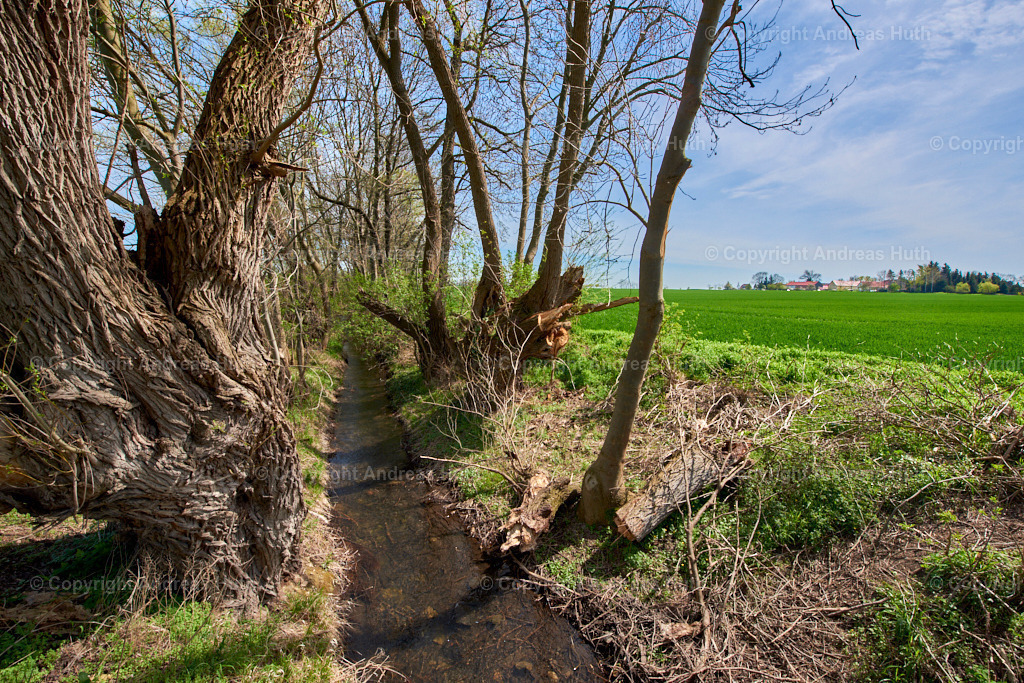 Am Elsterfloßgraben bei Kleingörschen 02 | Bedeutsame Landschaften Deutschlands - Realisiert mit Pictrs.com