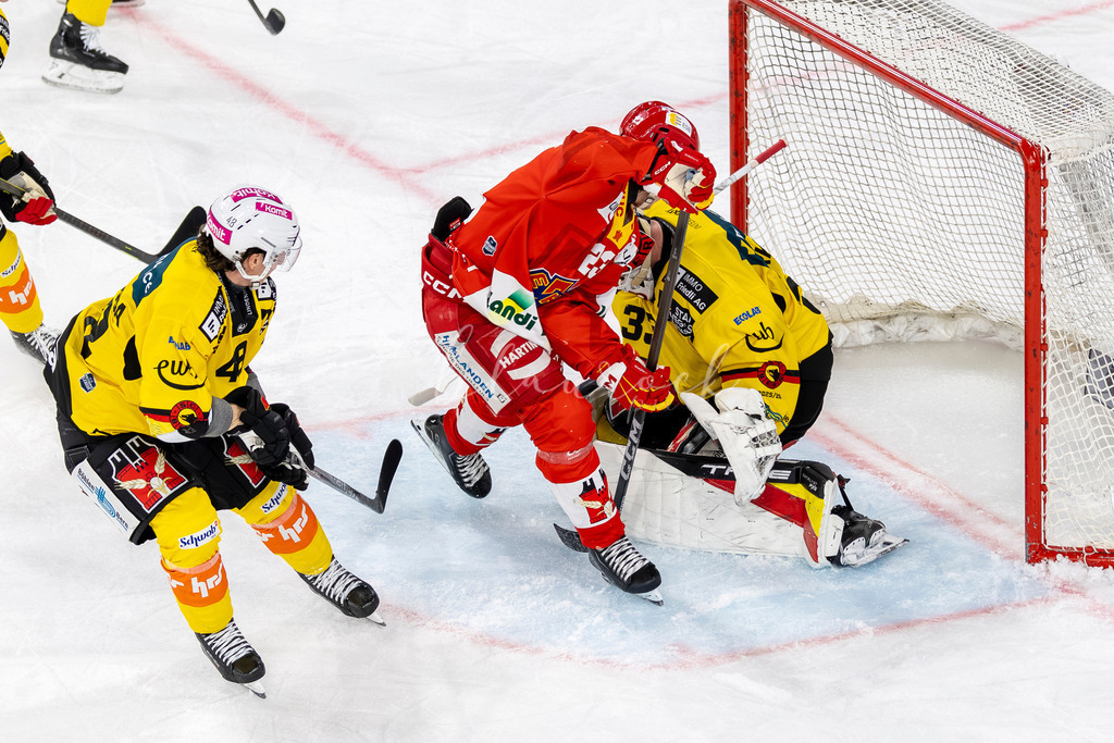 EHCB vs SCB 20260312_wb-4077 | Sportbilder, Sportfotograf, Hochzeits- und Eventfotografin, Flugshows, Portraits und Tiershooting, Aviation, Downhill, Nationalleague, Swissleague, International