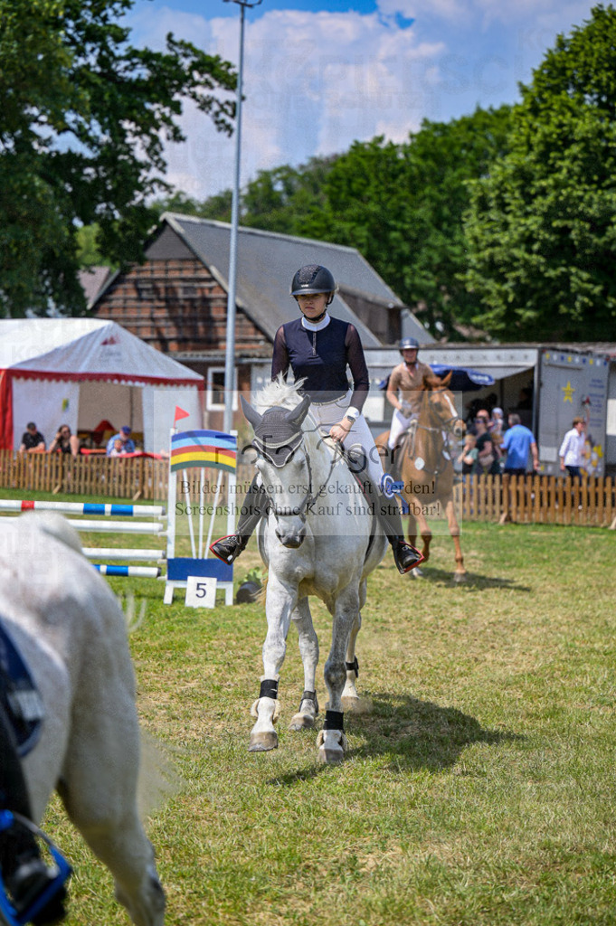 Reitturnier Voxtrup | Entdecke hochwertige Reitturnierfotos von Foto Oger. Professionell, emotional und authentisch – jetzt Lieblingsmomente im Shop bestellen.Deutschlandweite Turnierfotografie. - Realisiert mit Pictrs.com