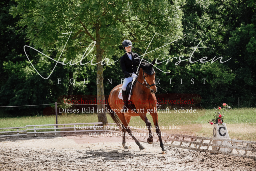 DSC_1026 | Pferde- und Turnierfotografie in Westsachsen. Pferdeportraits, Auftragszeichnungen und intuitive Kunst.