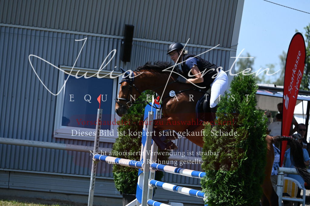 DSC_0636 | Pferde- und Turnierfotografie in Westsachsen. Pferdeportraits, Auftragszeichnungen und intuitive Kunst.