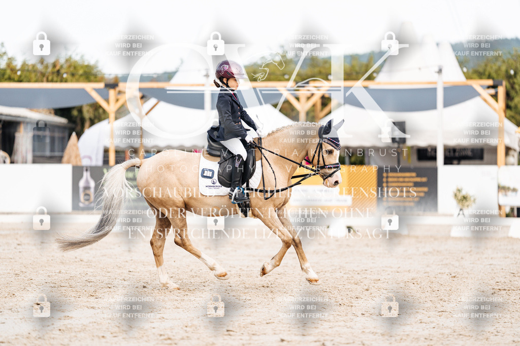 CK904699 | Turnierfotografie Pferdefotografie Trier Rheinland-Pfalz Pferdesport Reitsport Tierfotografie Sportfotografie Pferdevideo Pferdevideografie Equestrianvideography equestrianphotography  - Realisiert mit Pictrs.com