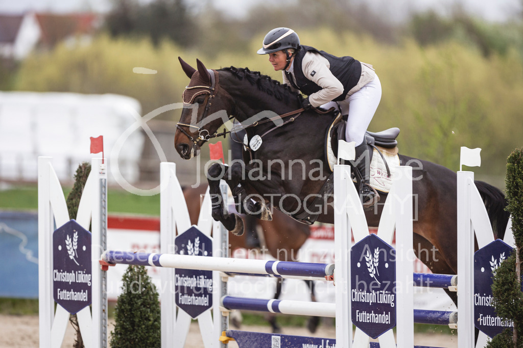 250417_Springpferde-L2-351 | Deine schönsten Turniermomente als professionelle Fotos! Entdecke hochwertige Pferdesport-Fotografie im Online-Shop. Jetzt Fotos finden & bestellen!
