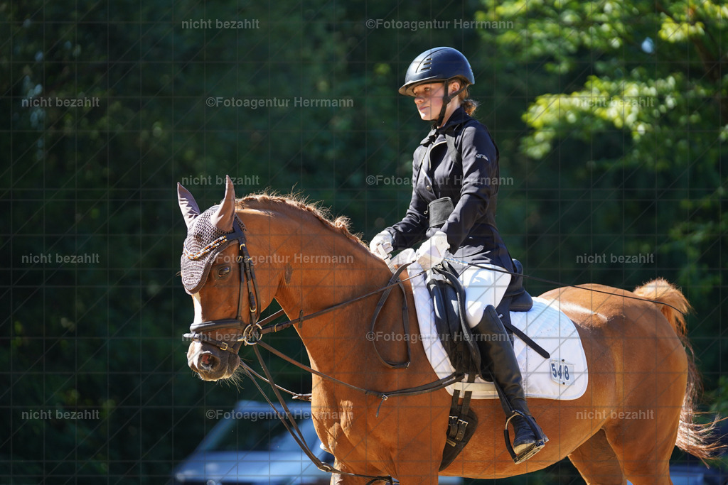20240706-FAH04838 | Grafing Turnierfotos, Reitverein Ebersberg, Turnierfotografen Bayern, reitsportbilder, Pferdefotograf, reitsportfotograf, Sportbilder, Reitsportfotografie, Fotoagentur Herrmann, Turnierfotograf