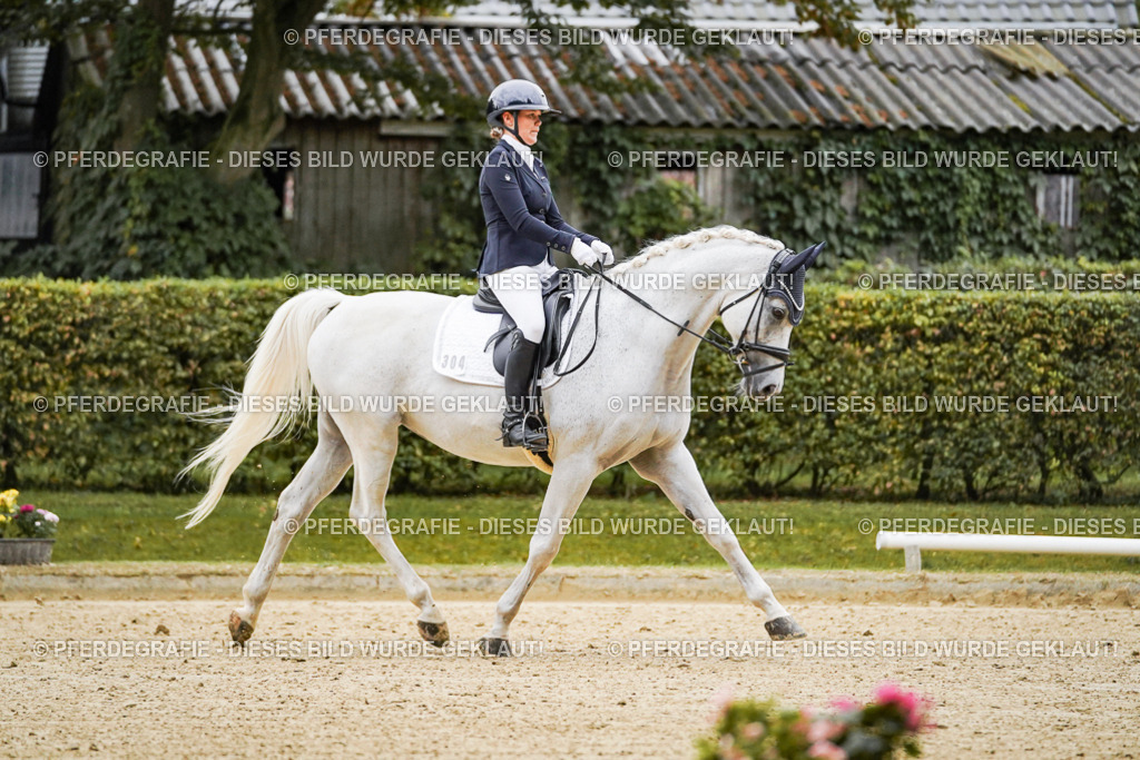 DSC06580 | Pferdegrafie