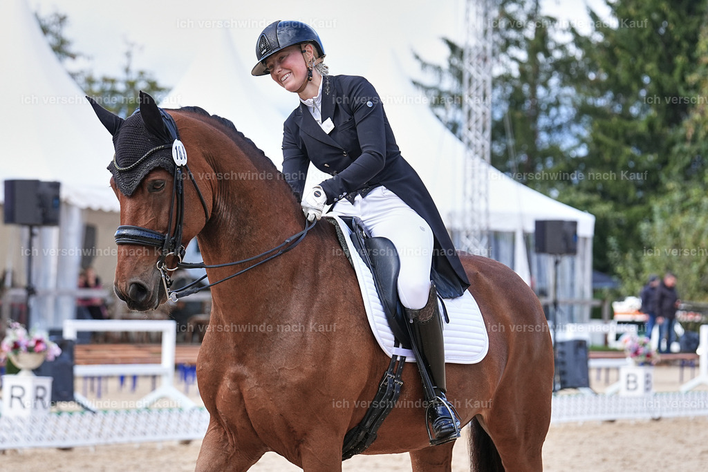 07-189-DRESSUR  S___  -Marixx-5159 | working equitationturnier fotograf videograf stoibphotography marixx film working equitation deutschland reitsport turnierfotografie eventfotografie equestrian events