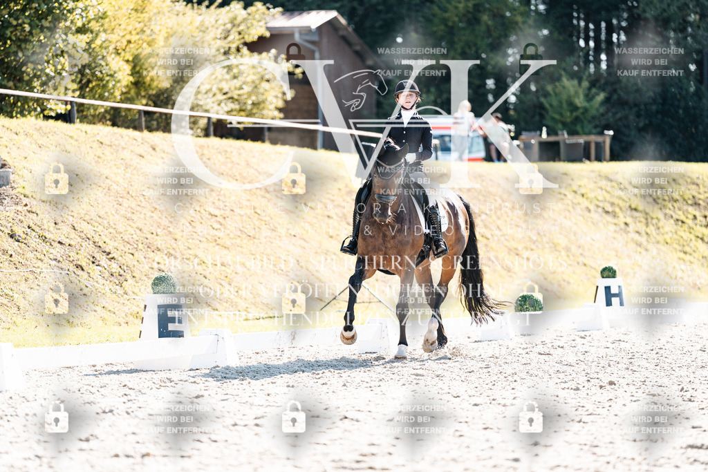 CK905909 | Turnierfotografie Pferdefotografie Trier Rheinland-Pfalz Pferdesport Reitsport Tierfotografie Sportfotografie Pferdevideo Pferdevideografie Equestrianvideography equestrianphotography  - Realisiert mit Pictrs.com