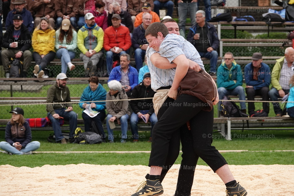 DSC03233 | Schwingen - Realisiert mit Pictrs.com