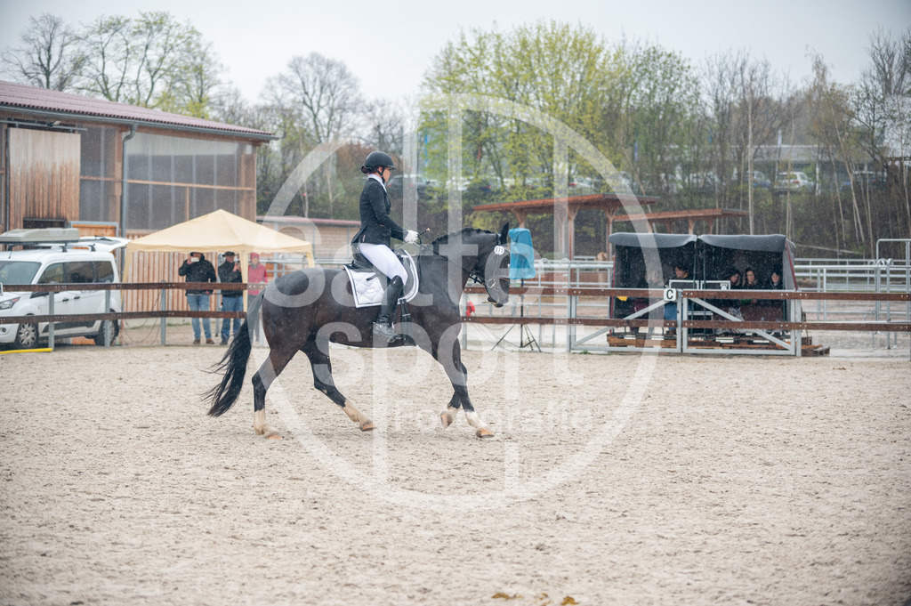 DSC_7528 | sattelsport - Realisiert mit Pictrs.com