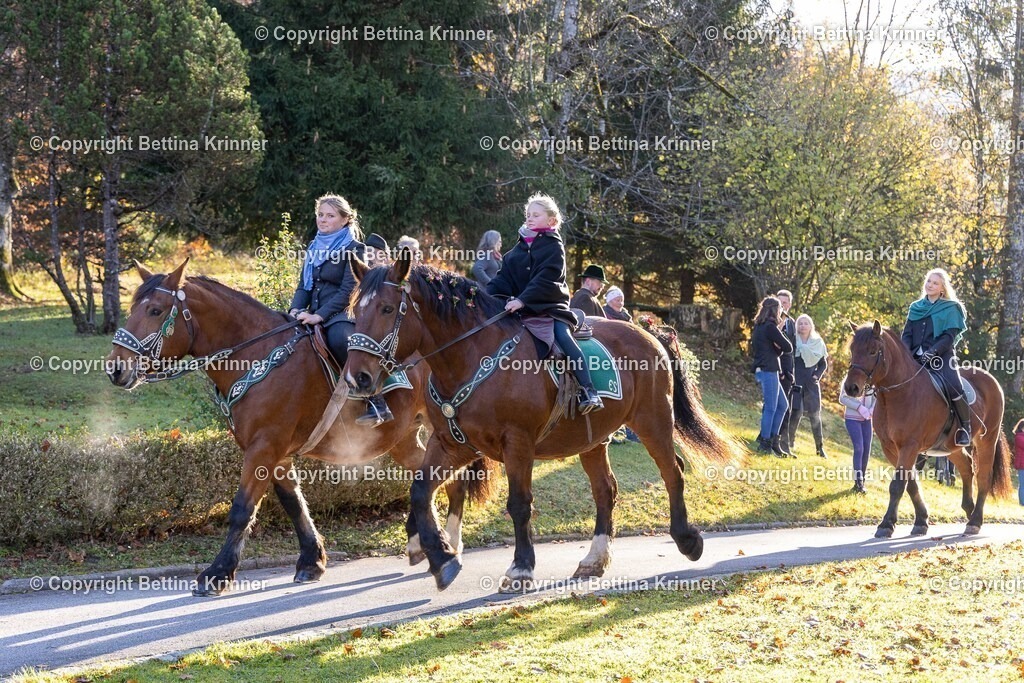LL24-177 | foto-bettina-krinner - Realisiert mit Pictrs.com