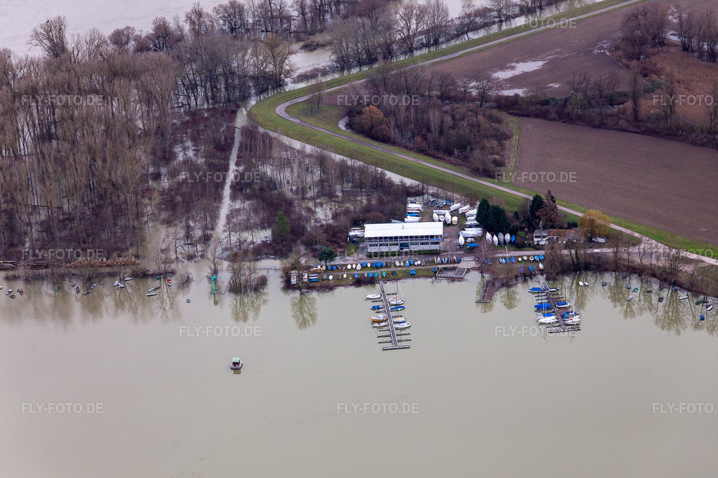 Luftbild: Segelclub RKC Wörth bei Hochwasser im Ortsteil Maximiliansau in Wörth im Bundesland Rheinland-Pfalz in Deutschland. Foto: IMG_124242.jpg vom 04.02.2021 durch Werner Riehm/FLY-FOTO.de