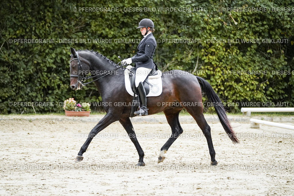 DSC00368 | Pferdegrafie