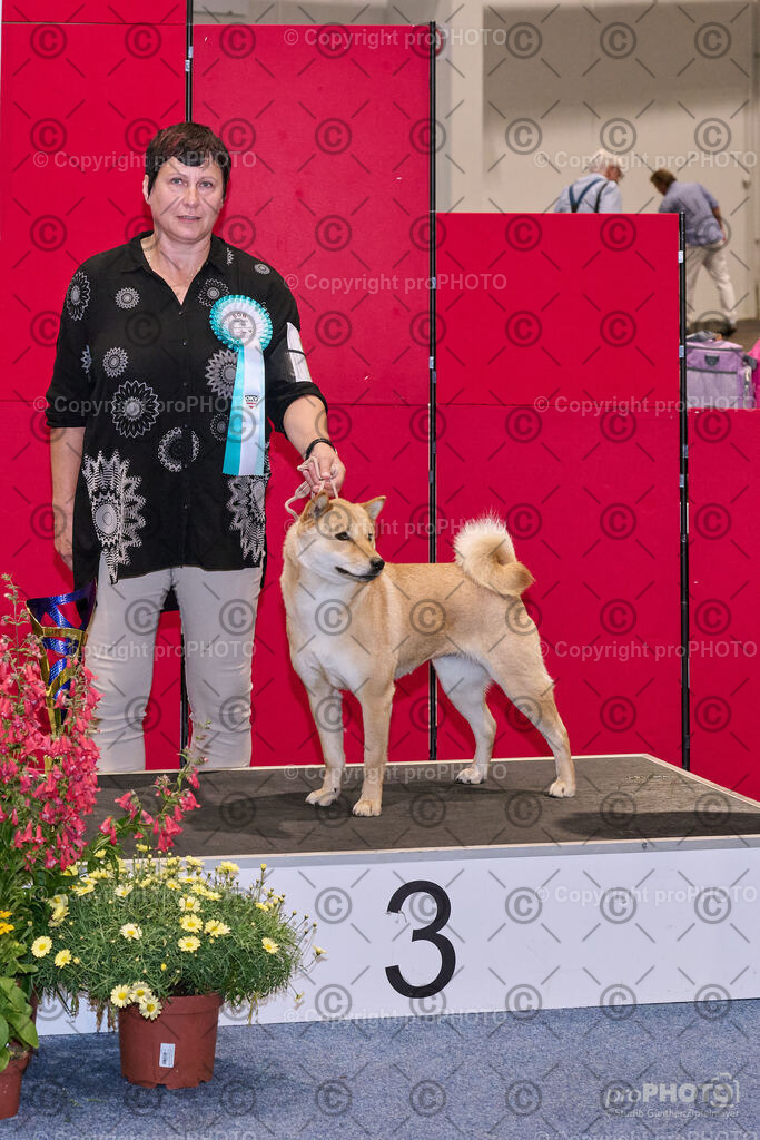 202406_ÖKV-IHA-Tulln24_NZ9_7850 | proPHOTO - Realisiert mit Pictrs.com