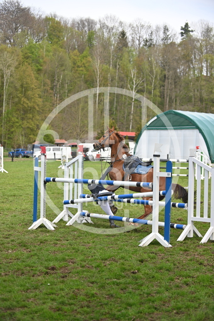 DSC_2477 | sattelsport - Realisiert mit Pictrs.com