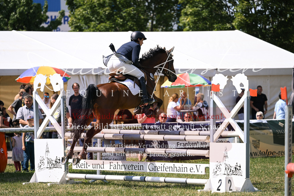 DSC_0427 | Pferde- und Turnierfotografie in Westsachsen. Pferdeportraits, Auftragszeichnungen und intuitive Kunst.