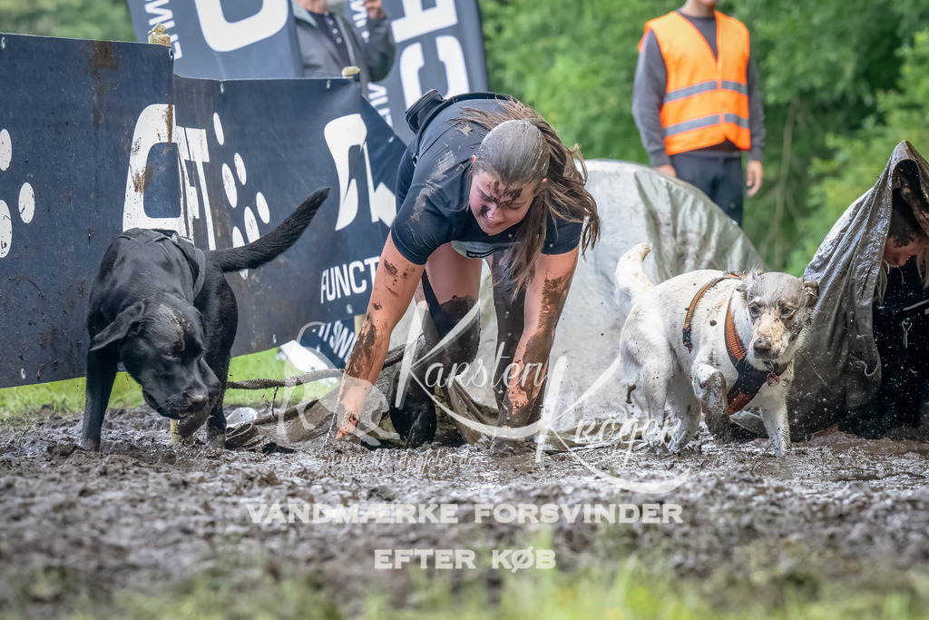 1151_ZZ94567-Bearbeitet | kk-dogfotos