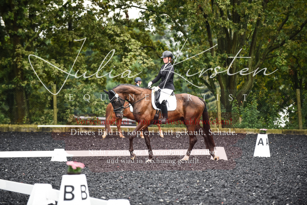 DSC_2810 | Pferde- und Turnierfotografie in Westsachsen. Pferdeportraits, Auftragszeichnungen und intuitive Kunst.
