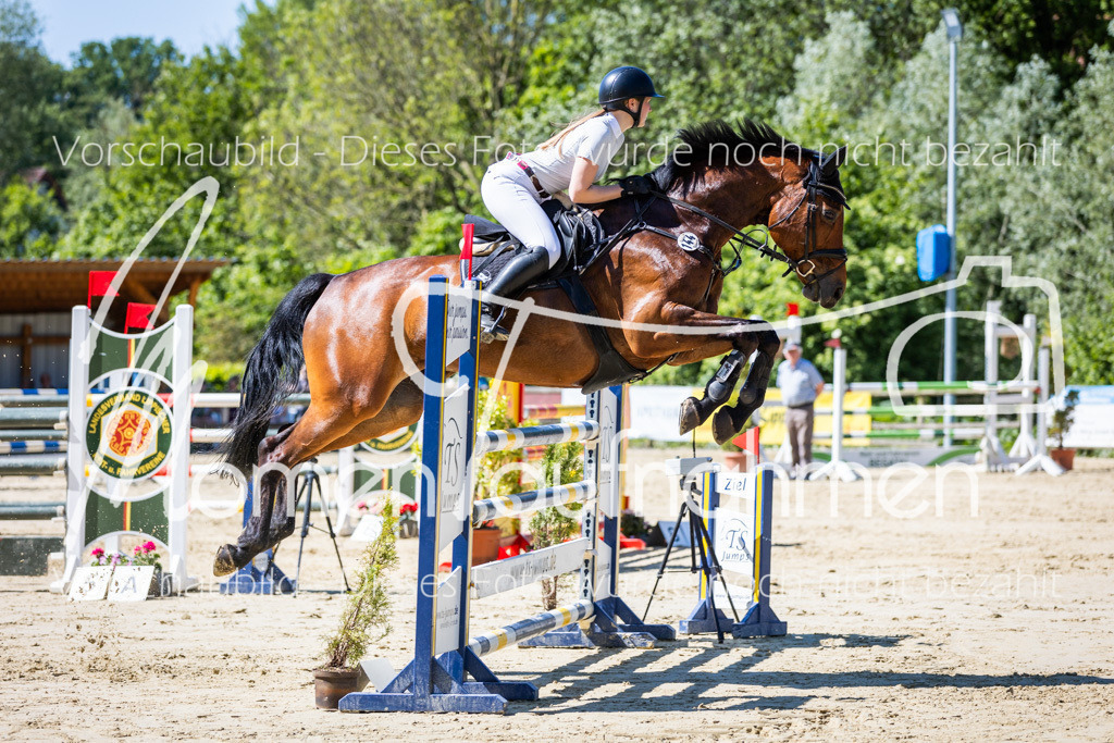 Donop24-M-Spr-063 | MomenTaufnahmen Pferdesportfotos