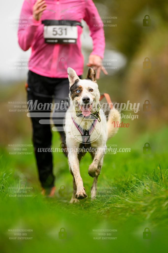 MompixPhotography_20TSB_E8_Run-177 | PayLife
