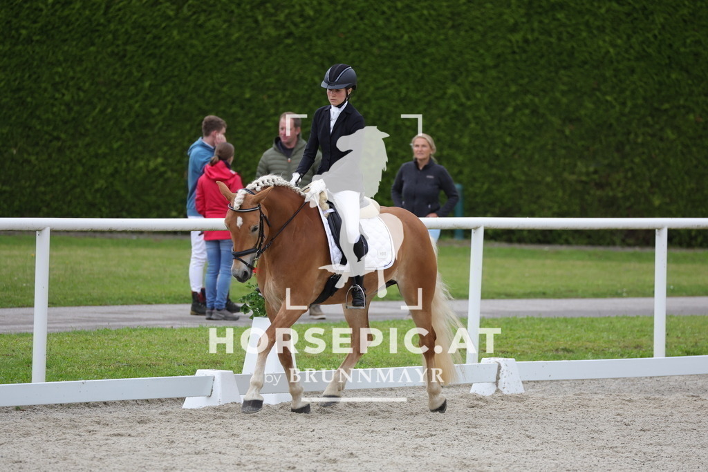 0P6A5209 | Willkommen bei Brunnmayr - Design & Fotografie – Ihrem Spezialisten für Reitturniere und Pferdeveranstaltungen in Oberösterreich, Salzburg und Bayern! Seit über 17 Jahren sind wir leidenschaftlich dabei.