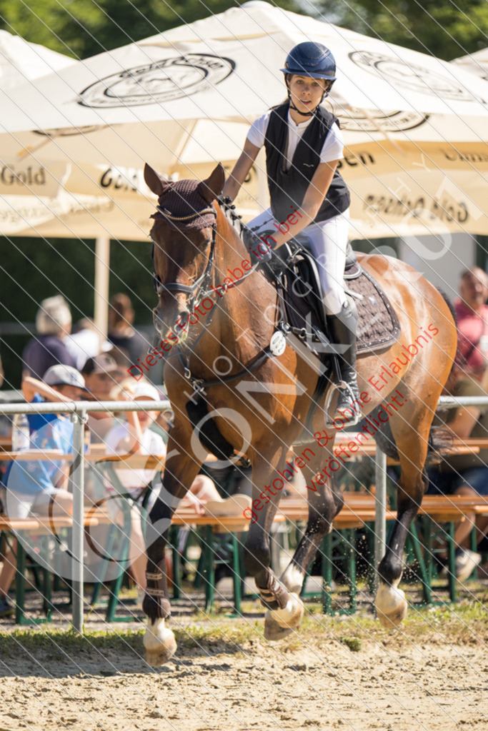 IMG_3116 | Sport-, Event- und Tierfotos in Profiqualität. Einfach auswählen, bestellen und herunterladen. Dein Moment – perfekt festgehalten.
