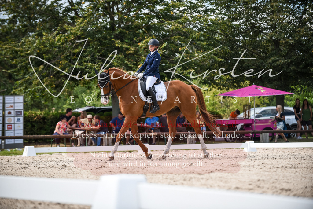DSC_9245 | Pferde- und Turnierfotografie in Westsachsen. Pferdeportraits, Auftragszeichnungen und intuitive Kunst.