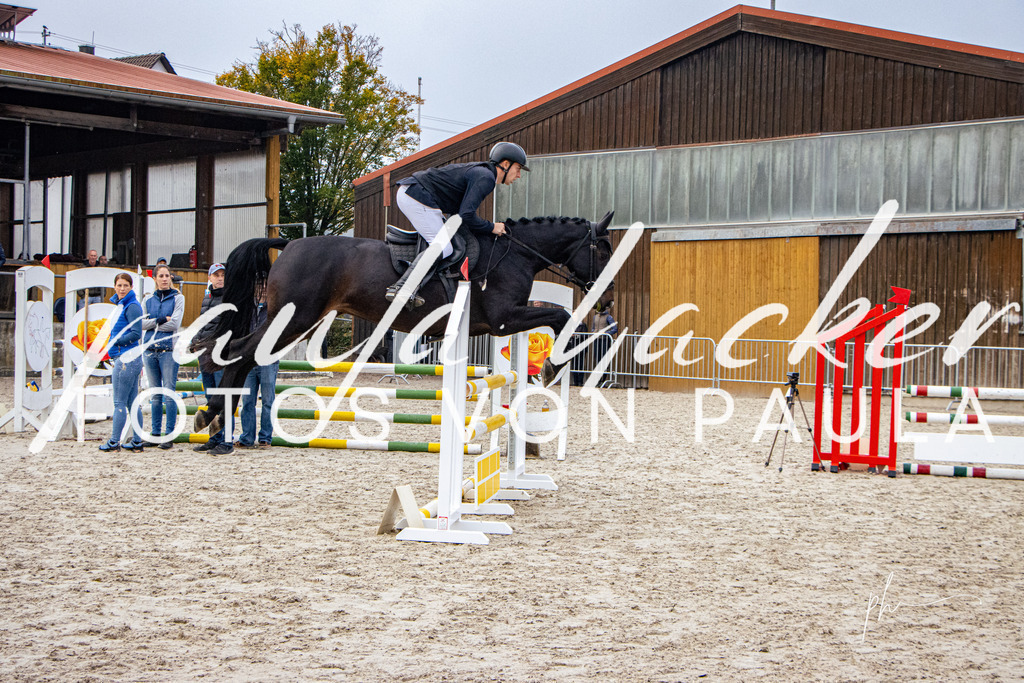 IMG_2739 | Erleben Sie dynamische Sport- und emotionale Tierfotografie in Süddeutschland mit Fotos von Paula. Spezialisiert auf Pferde- und Hundefotografie sowie Sportevents. Kontaktieren Sie mich für einzigartige und ausdrucksstarke Bilder Ihrer besonderen Momente. - Realisiert mit Pictrs.com