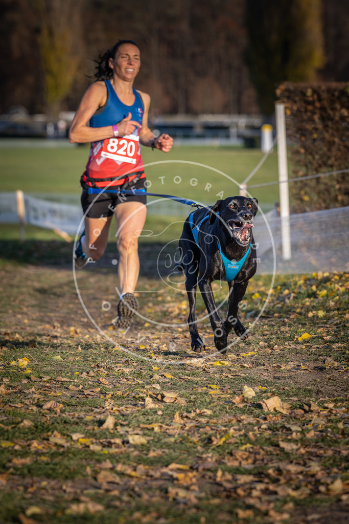 CaniXpix_DV3A3254 | Hundefotografie, Tierfotograf, Pfotenfotografie, Fotoshooting Hund, Hunde Portrait, Hundesport, Hundeportraits, Heideshooting, Hunde, Sportfotograf, Hundefotograf, Turnierhundsport, THS,  - Realisiert mit Pictrs.com