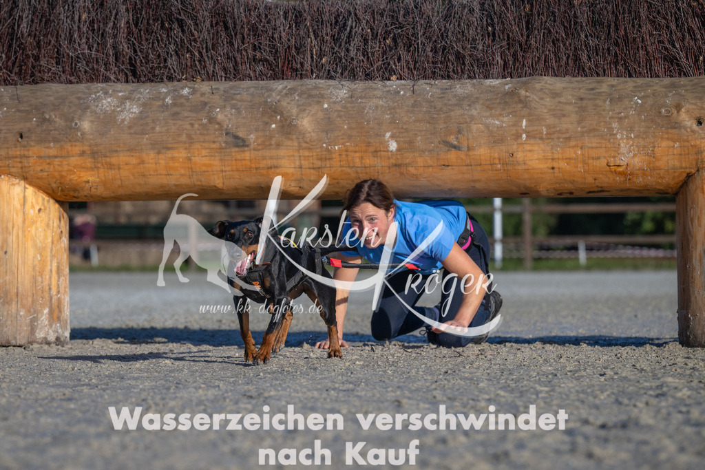1028-_ZZ91404 | kk-dogfotos